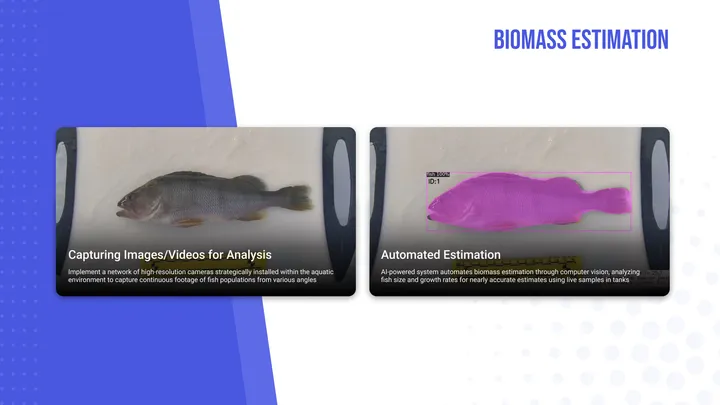 Aquaculture AI — Health & Biomass — view 1