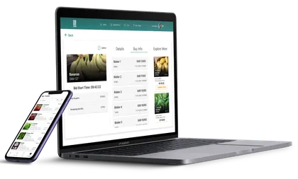 DAN — Auction Platform