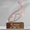 PanaceaLogics — Aquacon Invest Championship 2024 trophy